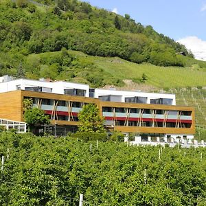 Bio & Wellnesshotel Pazeider - Healing Garden Above Meran